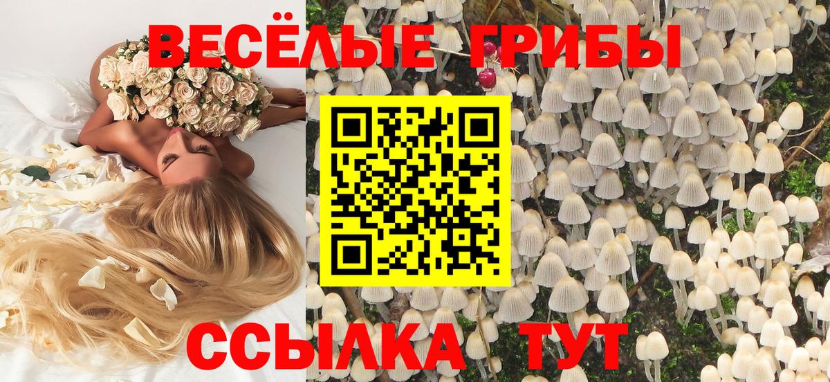 Электрогорск  Галлюциногенные грибы прущие грибы  Вход с VPN 